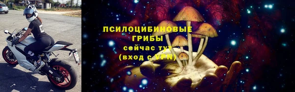 сатива Баксан