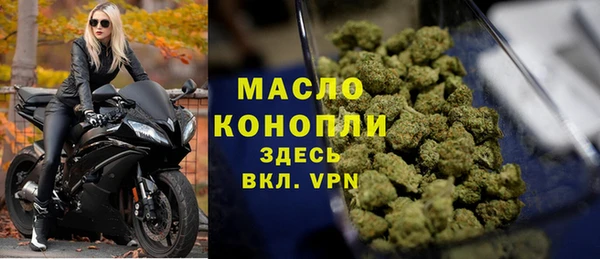 сатива Баксан