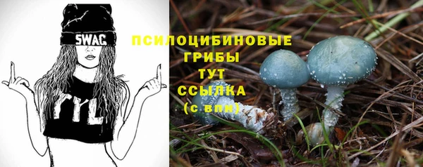 прущие грибы Армянск